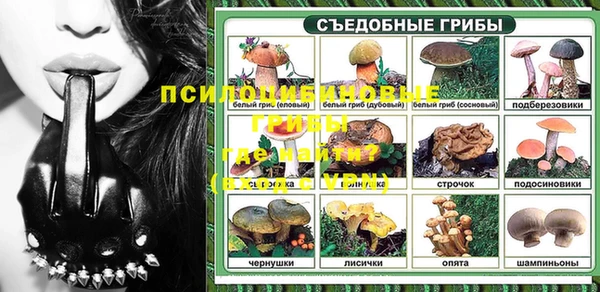 СК Алексеевка