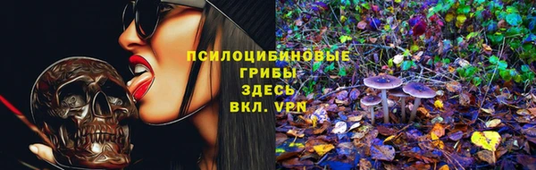 СК Алексеевка