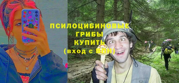 СК Алексеевка