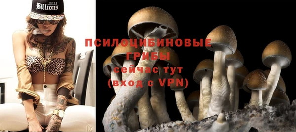 героин Алексин